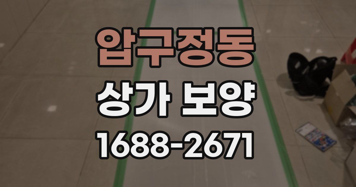 압구정동 상가 보양
