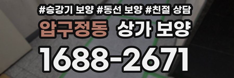 압구정동 상가 보양