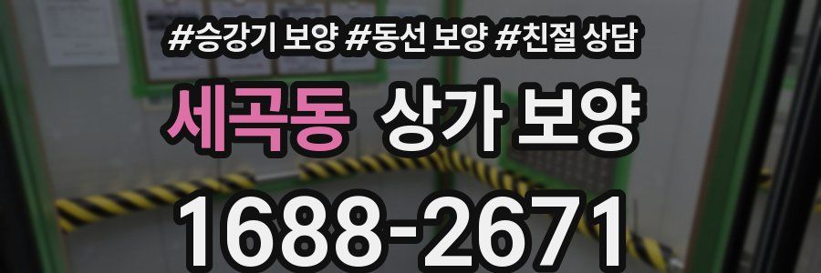 세곡동 상가 보양