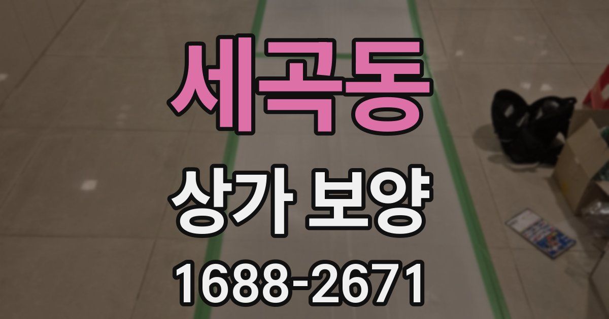세곡동 상가 보양