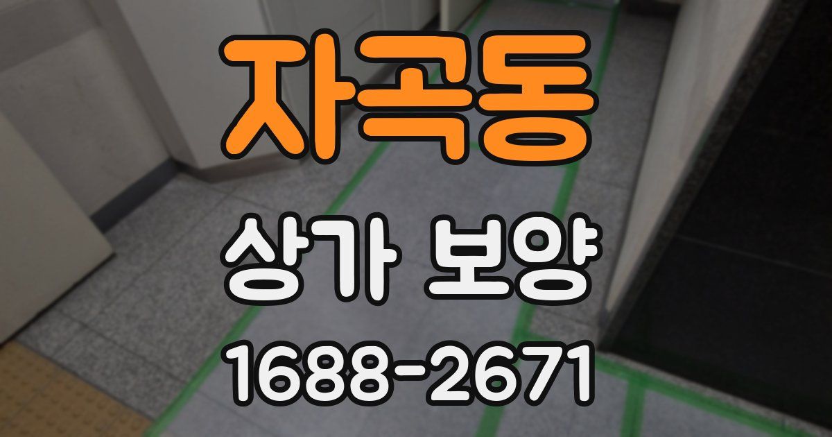 자곡동 상가 보양