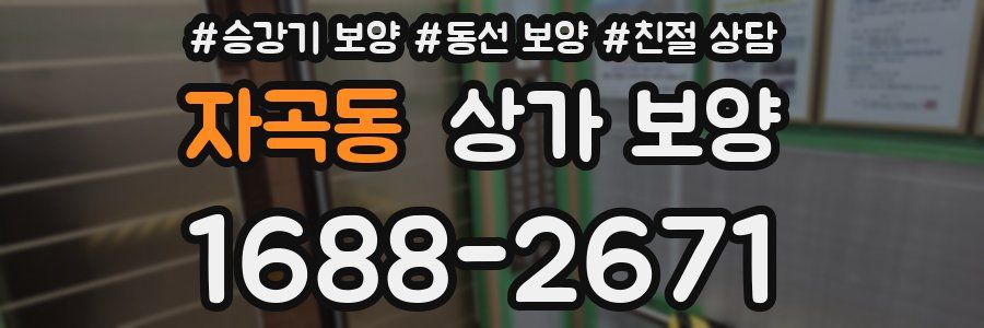 자곡동 상가 보양