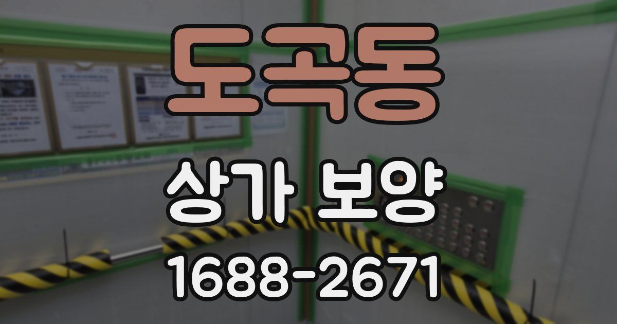 도곡동 상가 보양