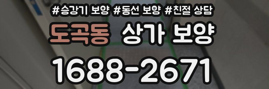 도곡동 상가 보양