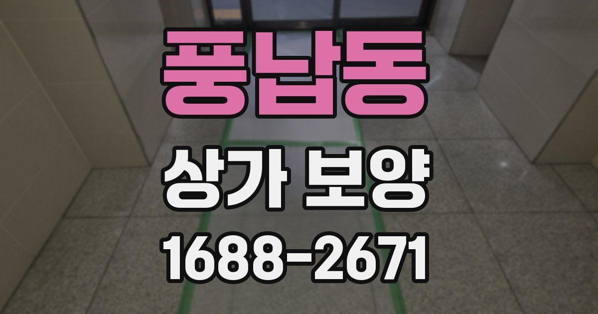 풍납동 상가 보양