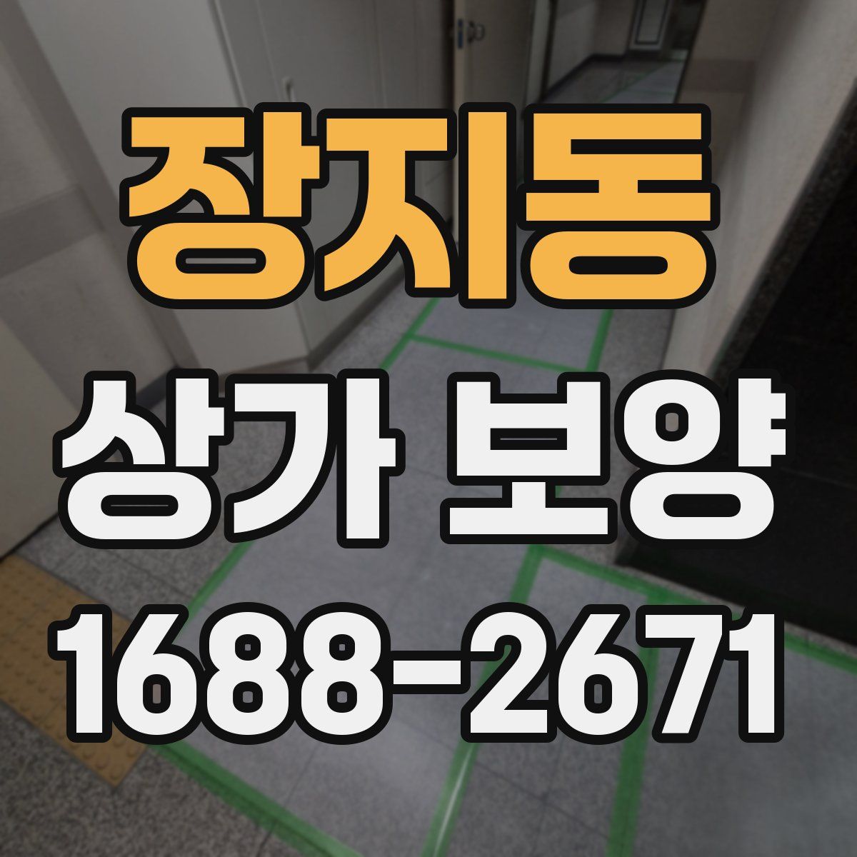 장지동 상가 보양