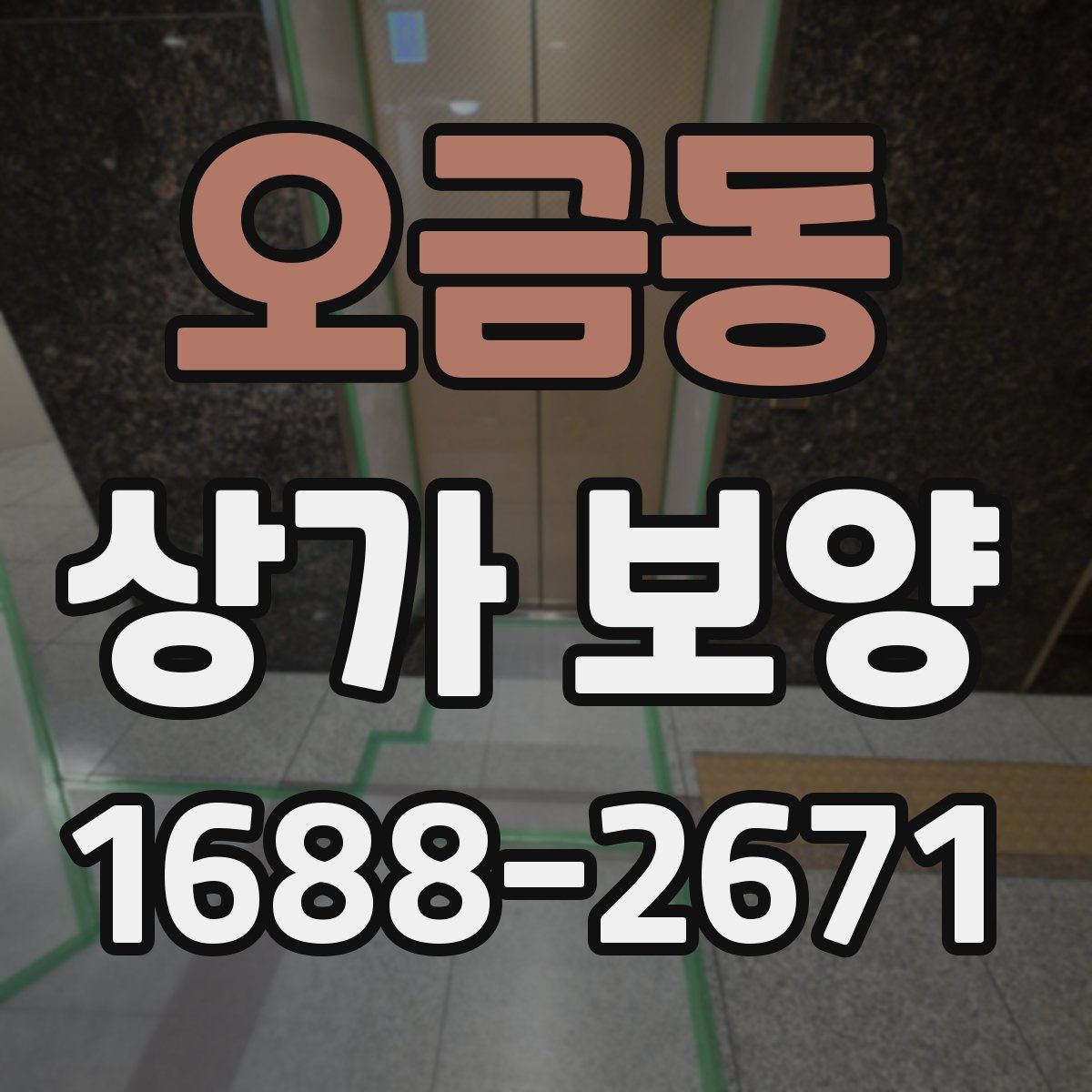 오금동 상가 보양