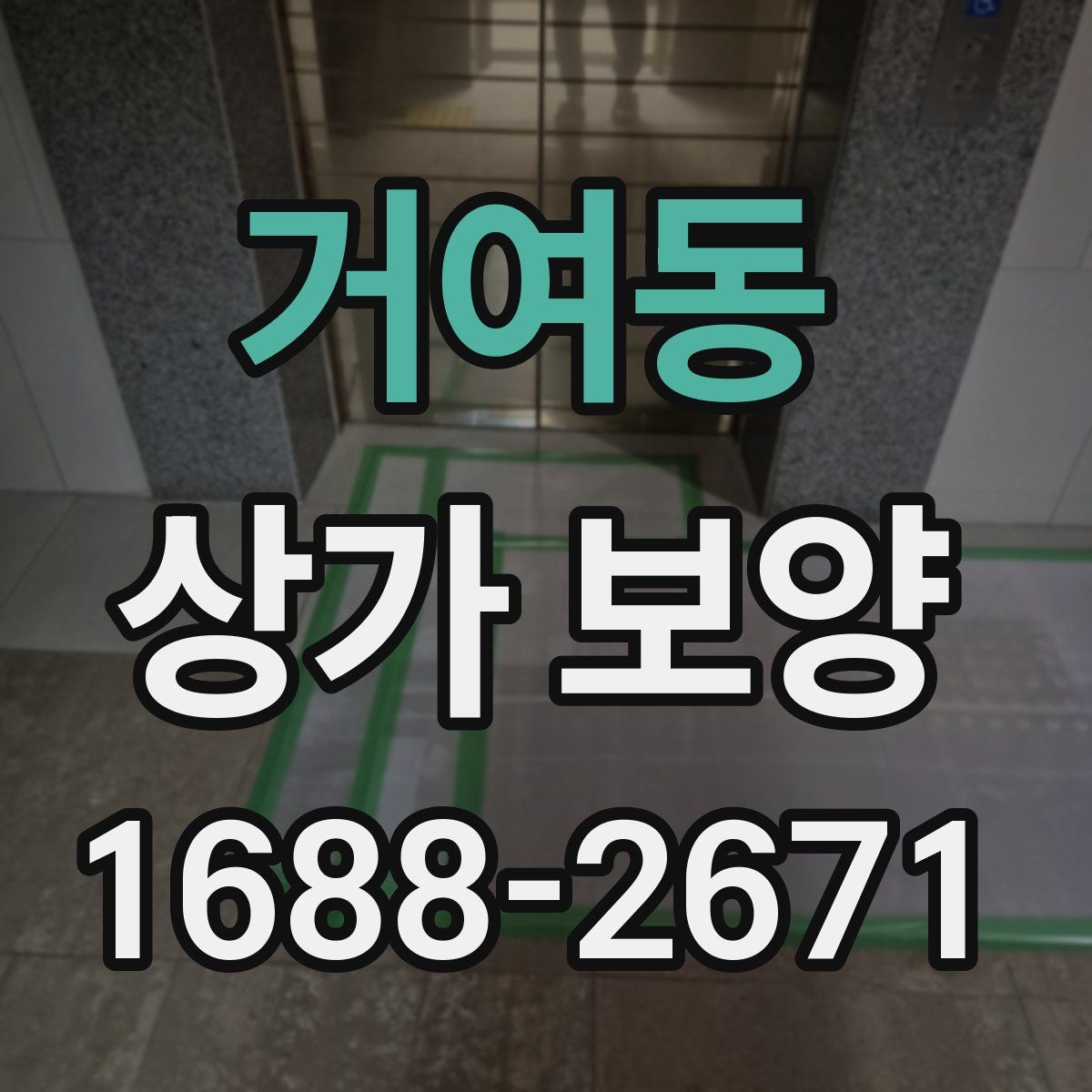 거여동 상가 보양