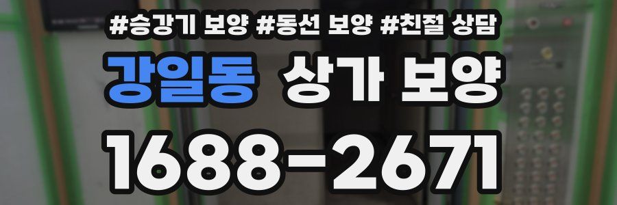 강일동 상가 보양