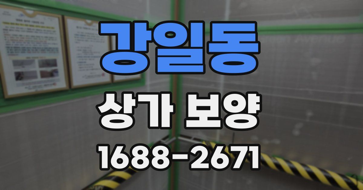 강일동 상가 보양