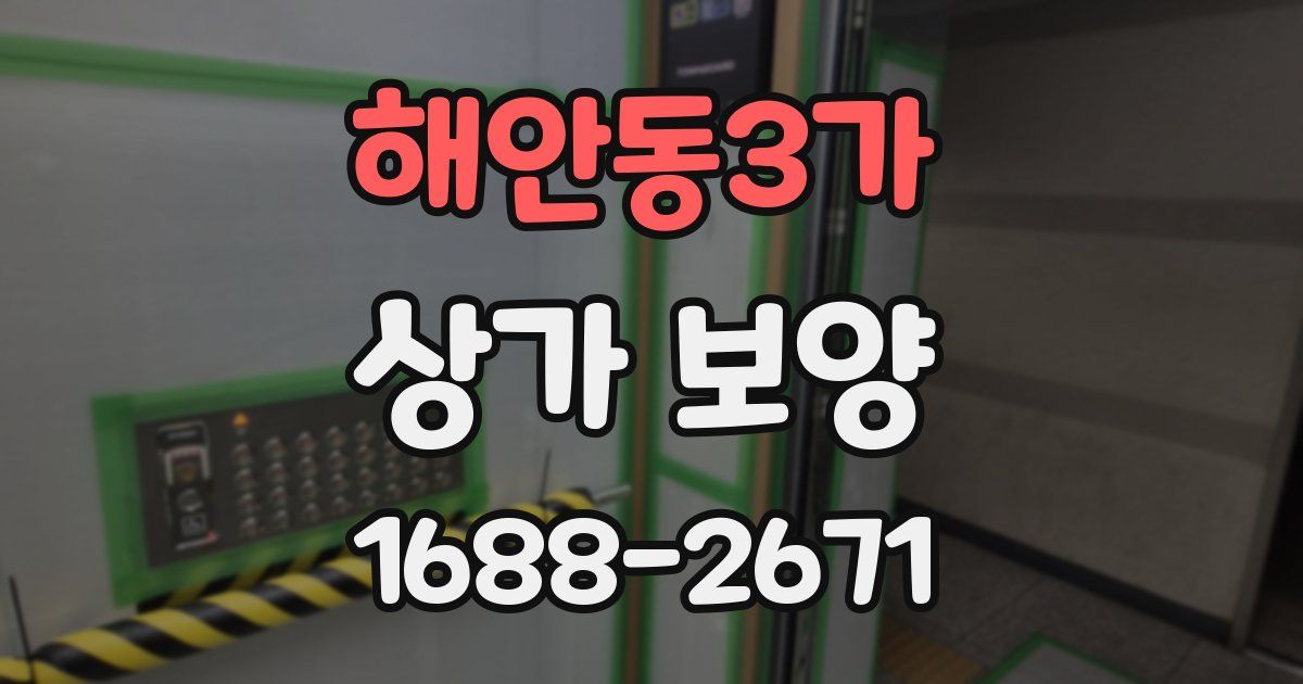 해안동3가 상가 보양