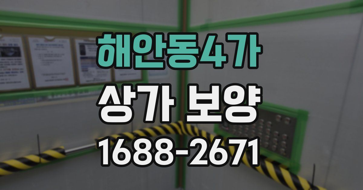 해안동4가 상가 보양