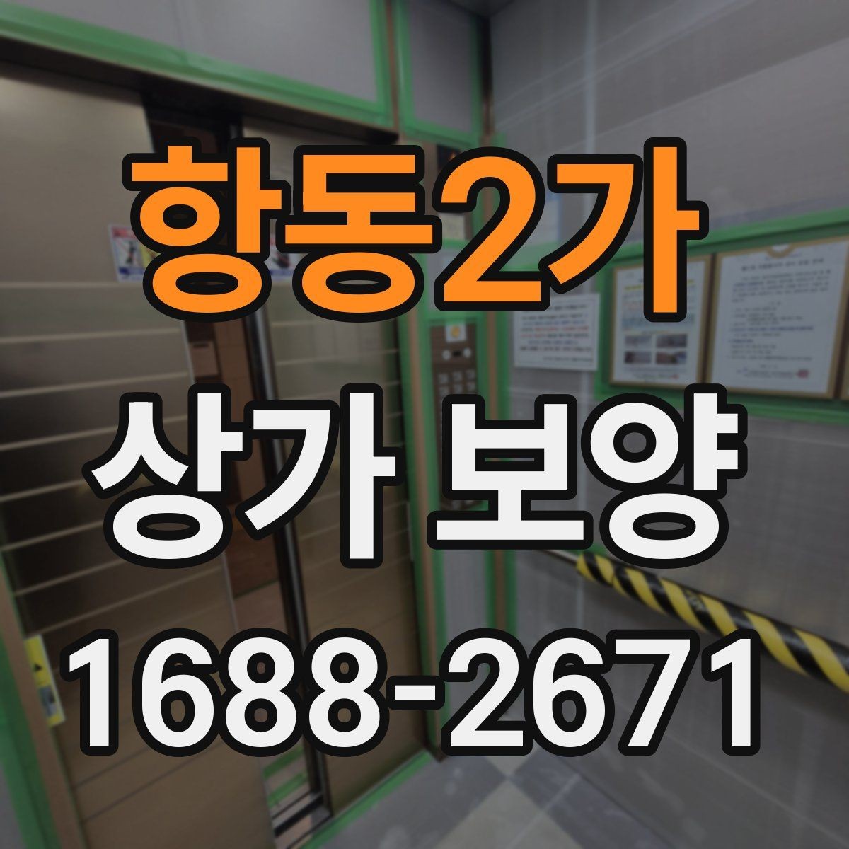 항동2가 상가 보양 시 공정 간 조율 방법