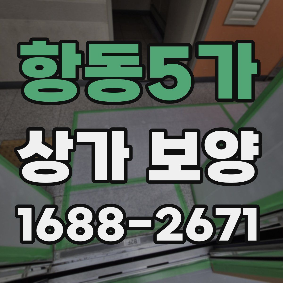 항동5가 상가 보양