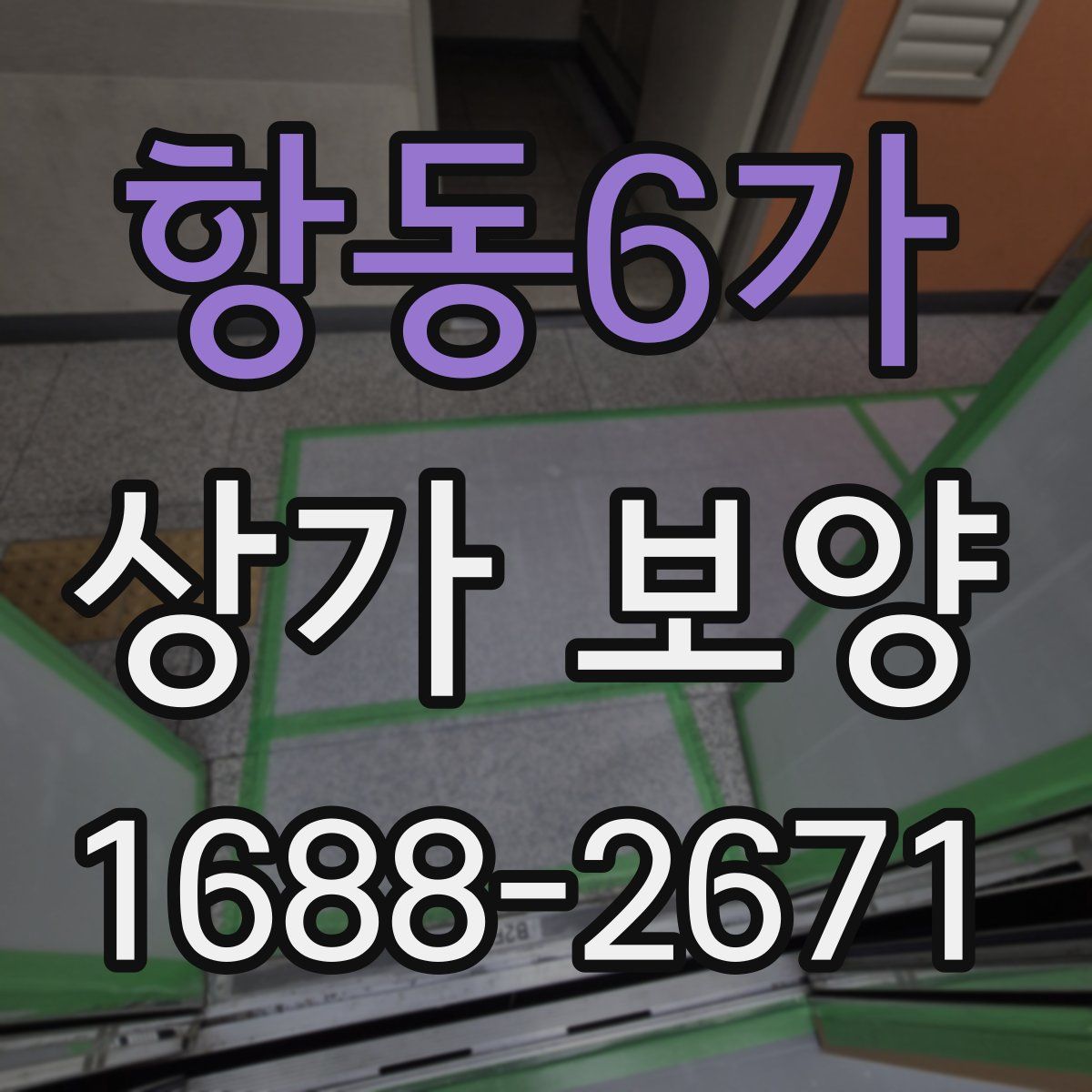 항동6가 상가 보양