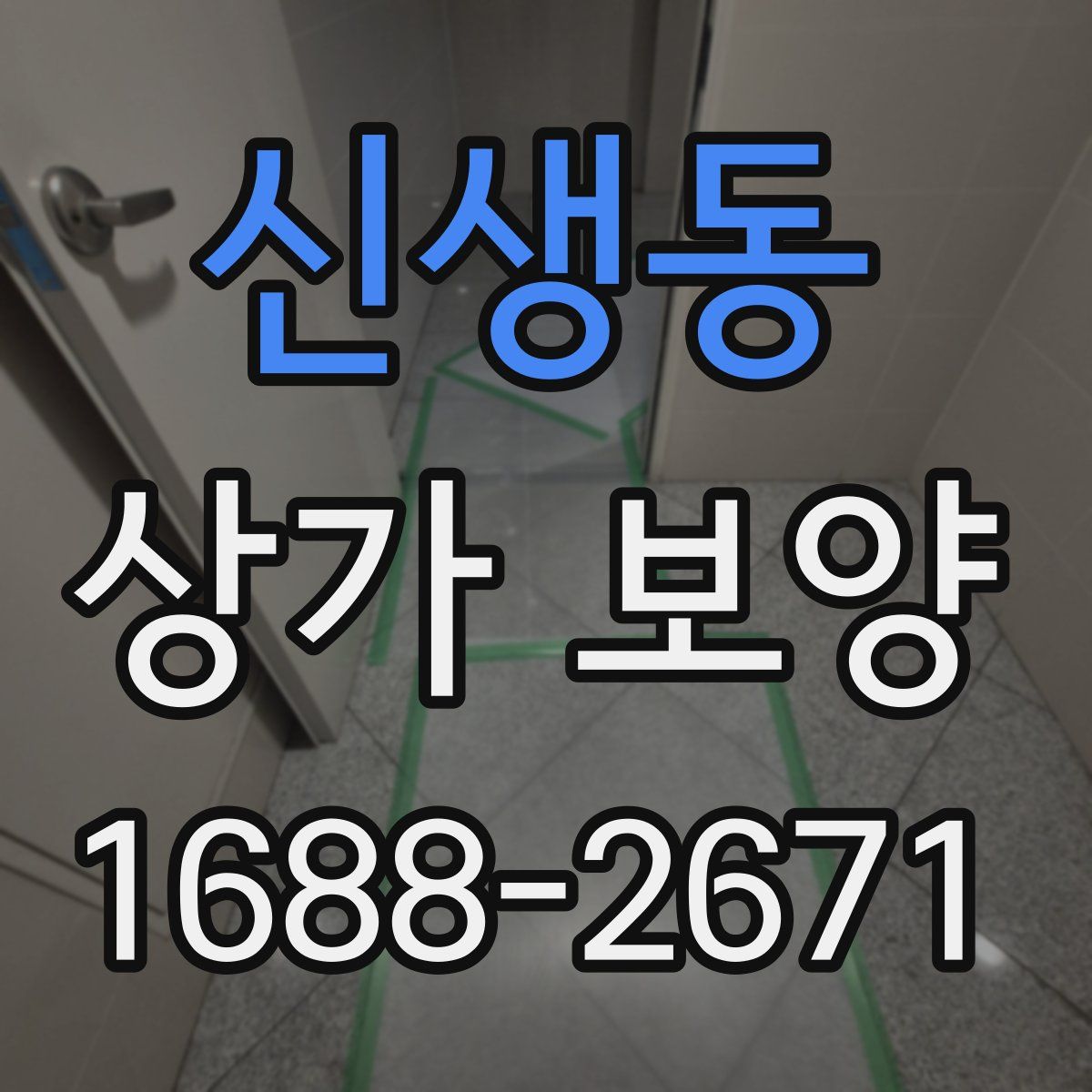 신생동 상가 보양