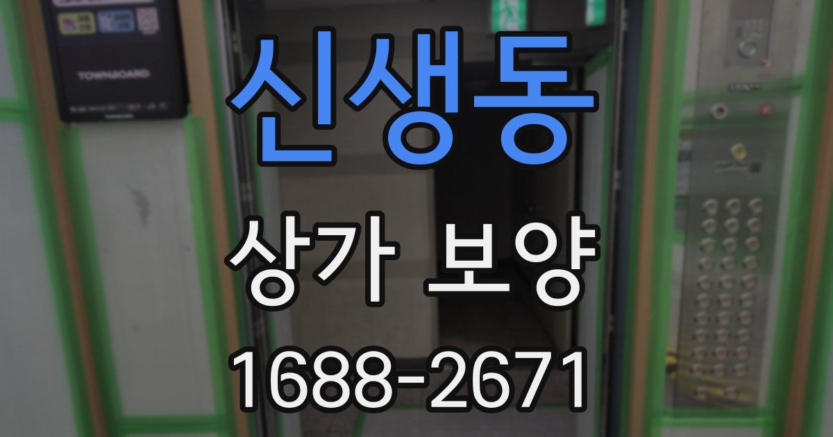 신생동 상가 보양