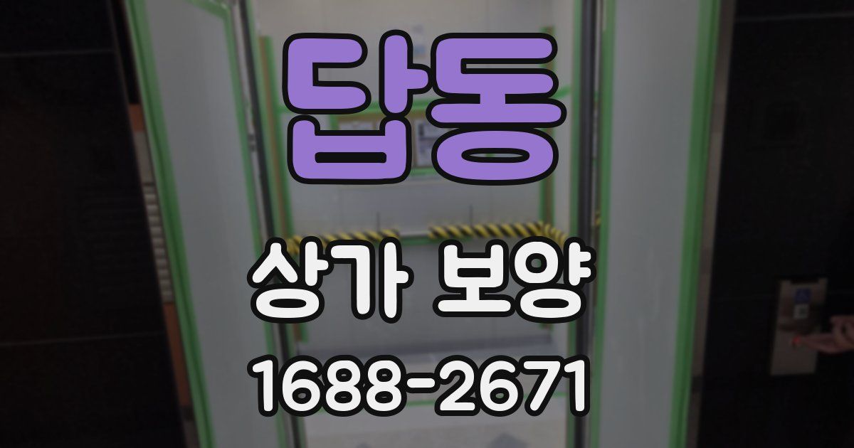 답동 상가 보양
