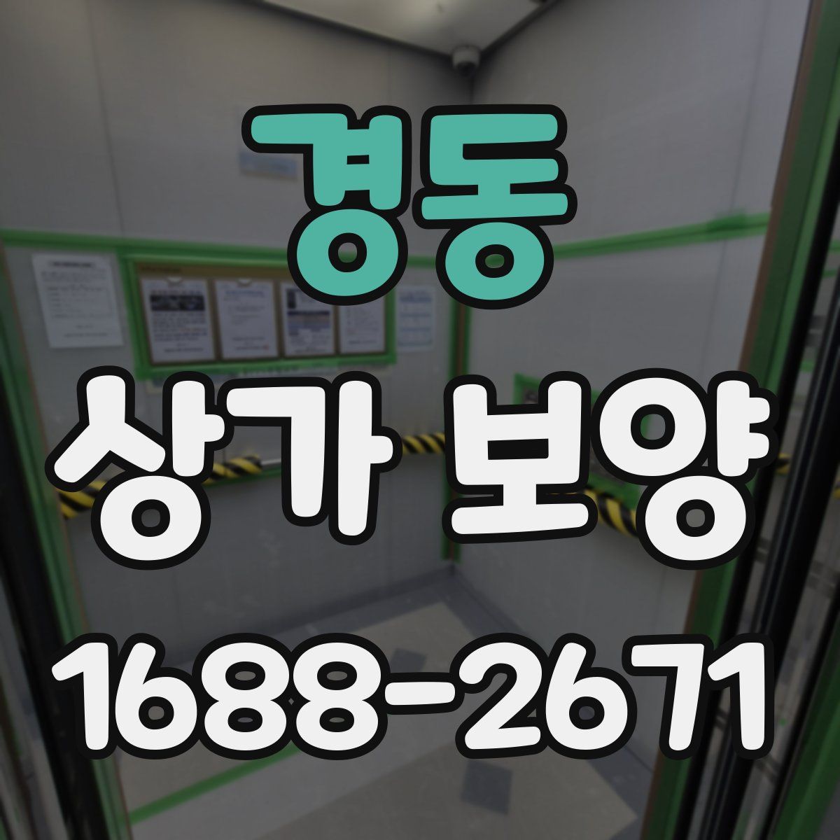 경동 상가 보양