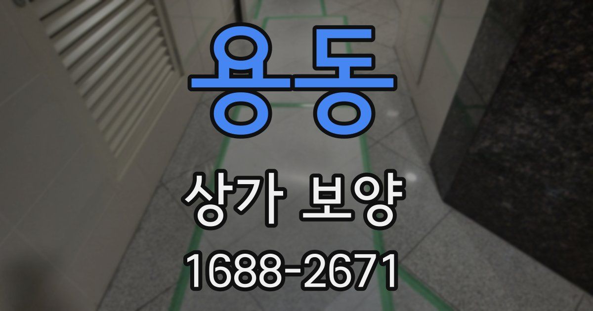 용동 상가 보양
