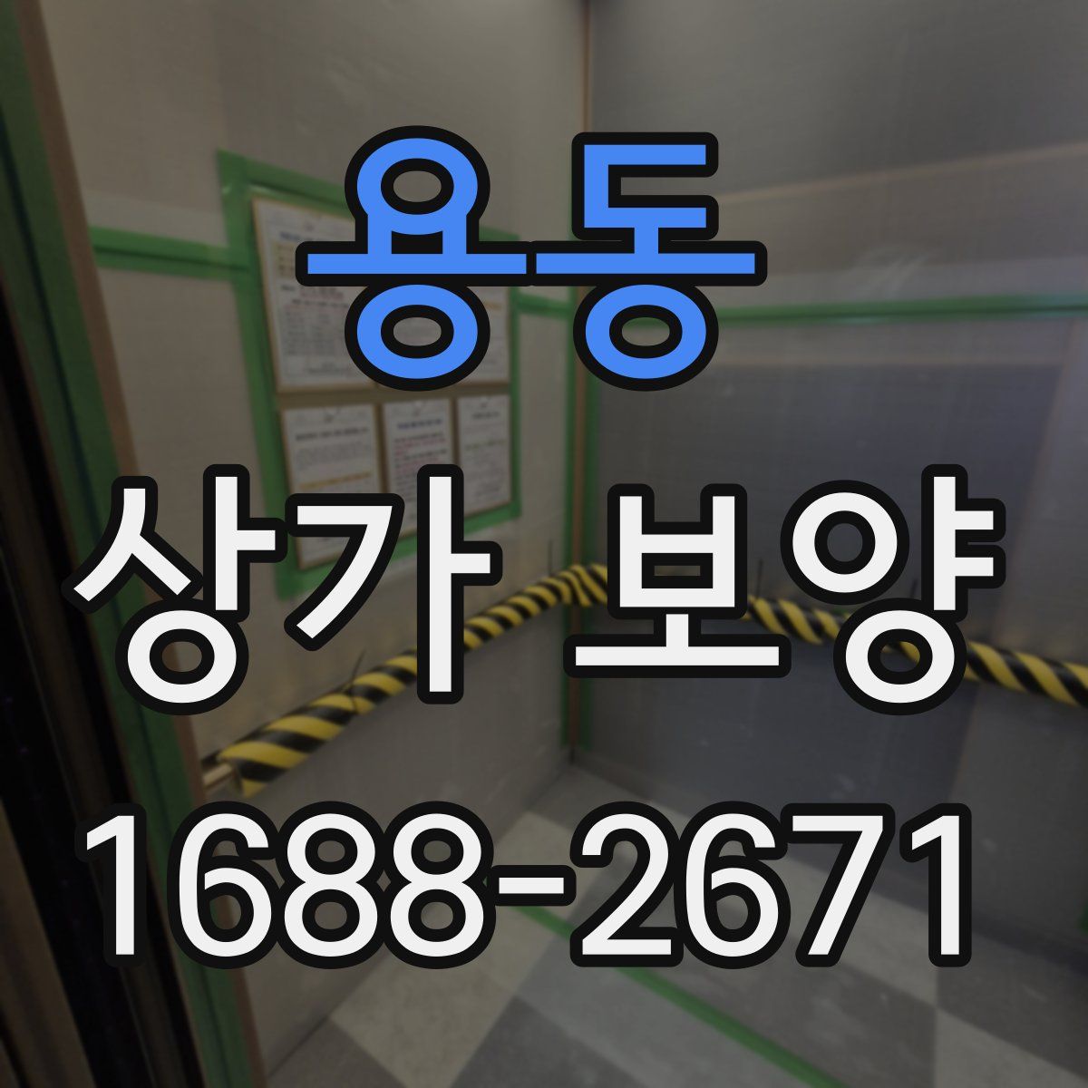 용동 상가 보양
