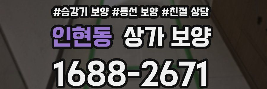 인현동 상가 보양