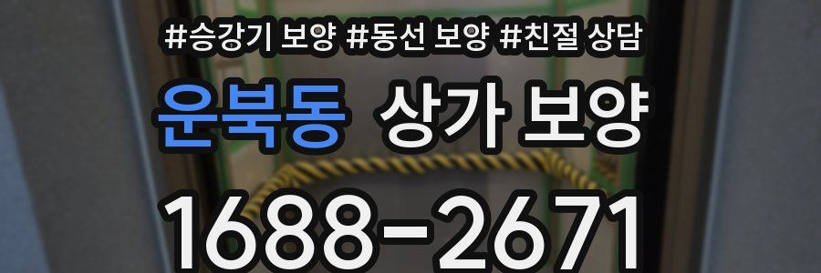 운북동 상가 보양