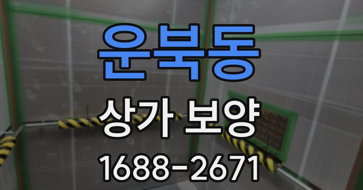 운북동 상가 보양
