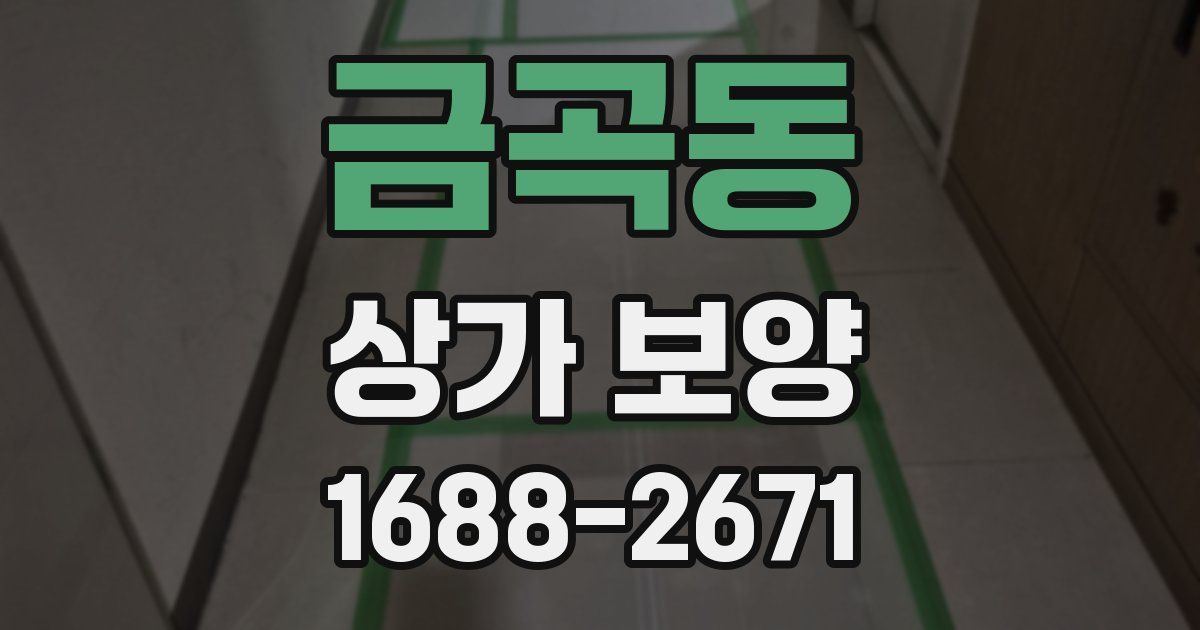 금곡동 상가 보양