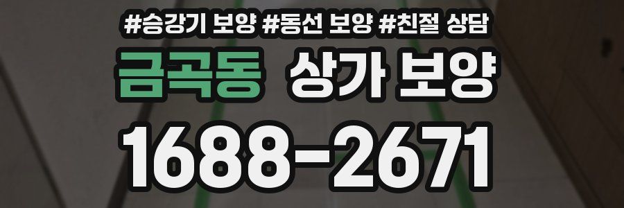 금곡동 상가 보양
