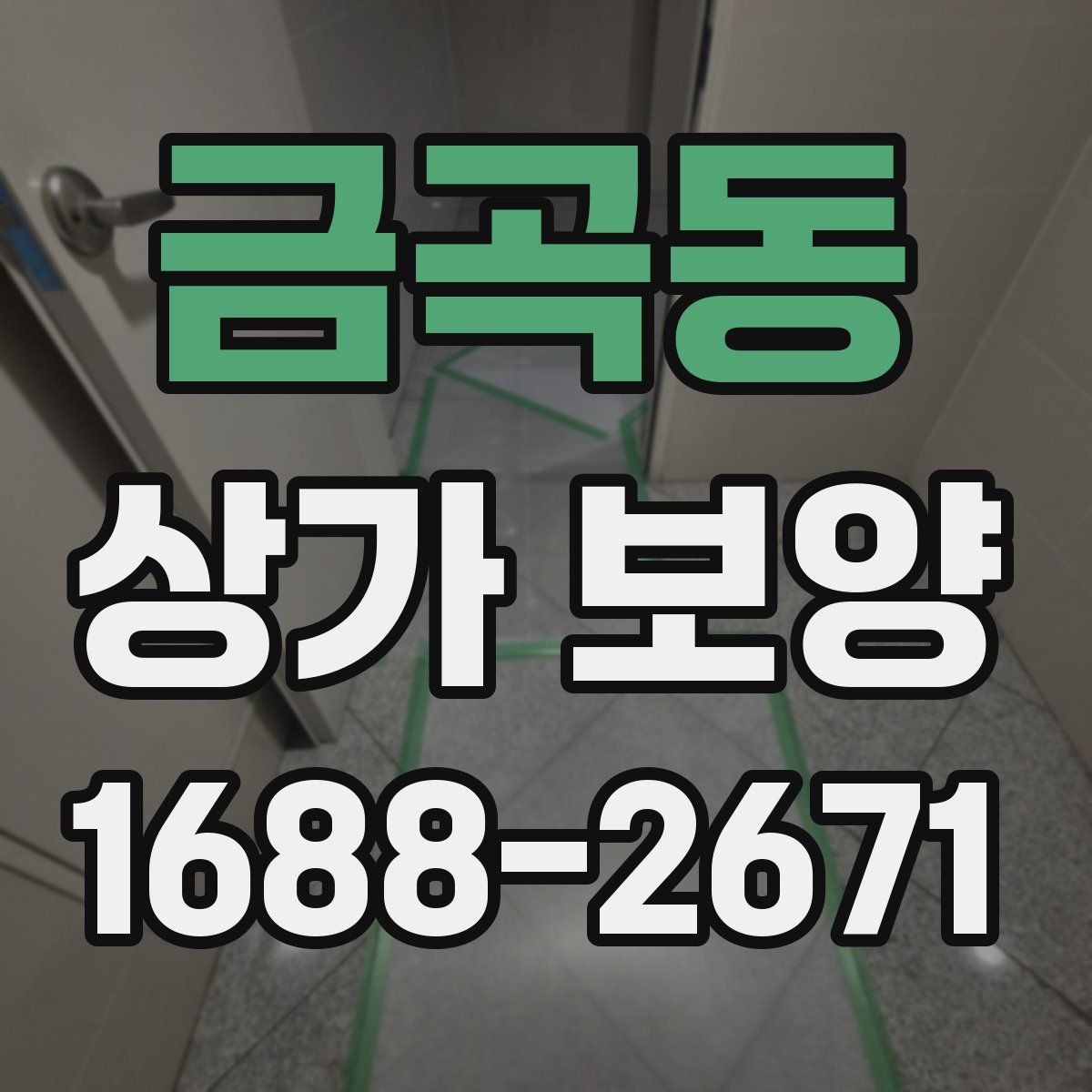 금곡동 상가 보양
