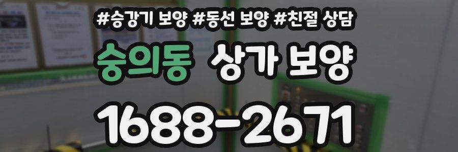 숭의동 상가 보양