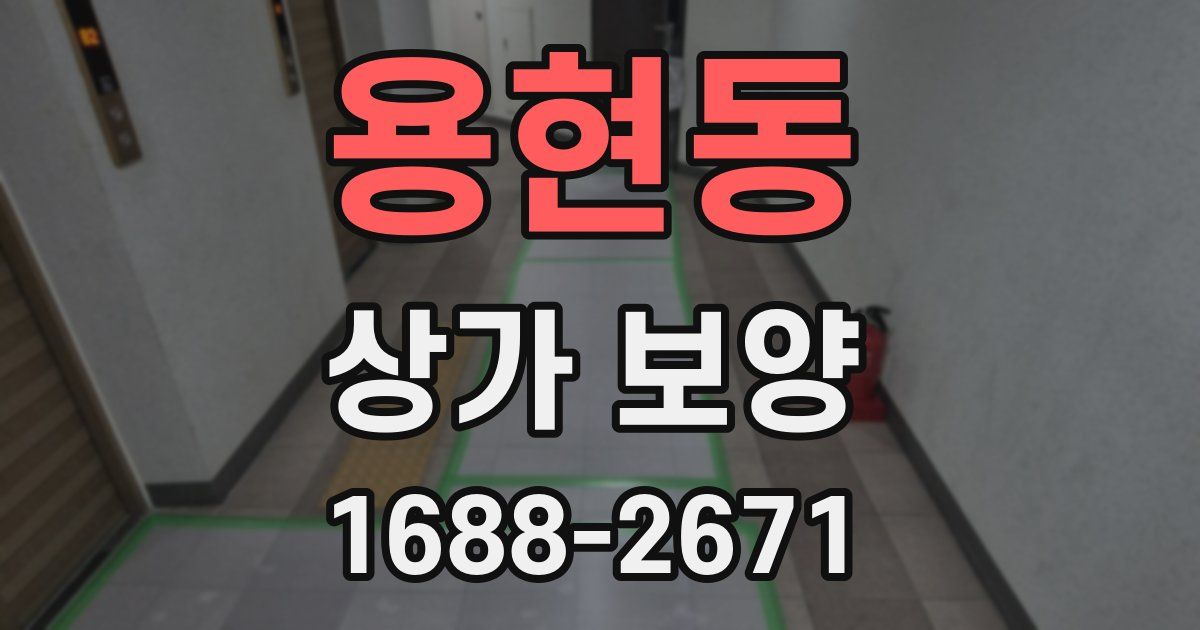용현동 상가 보양