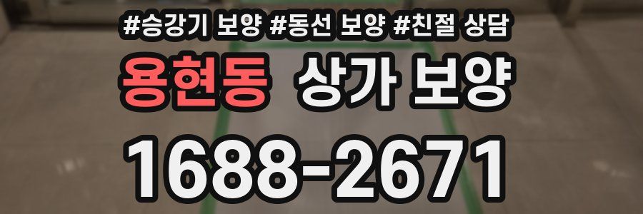 용현동 상가 보양