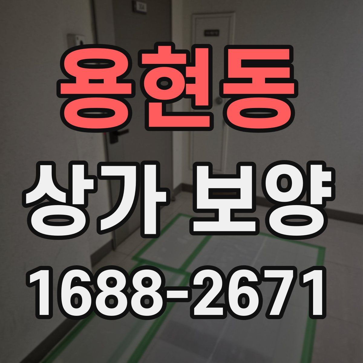 용현동 상가 보양