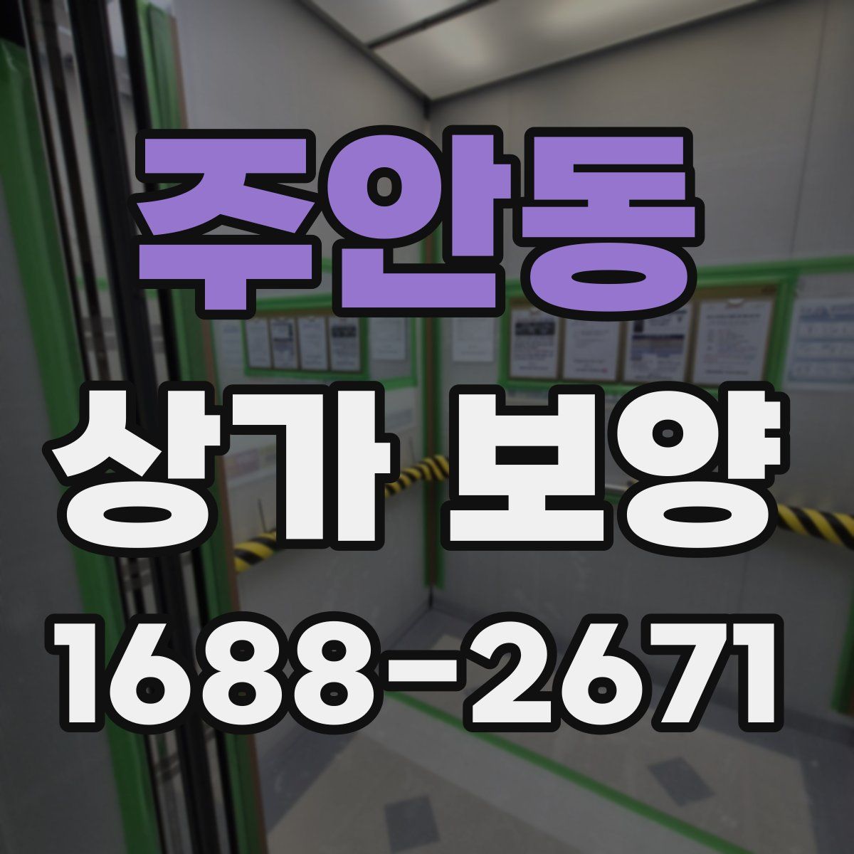주안동 상가 보양