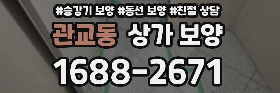 관교동 상가 보양