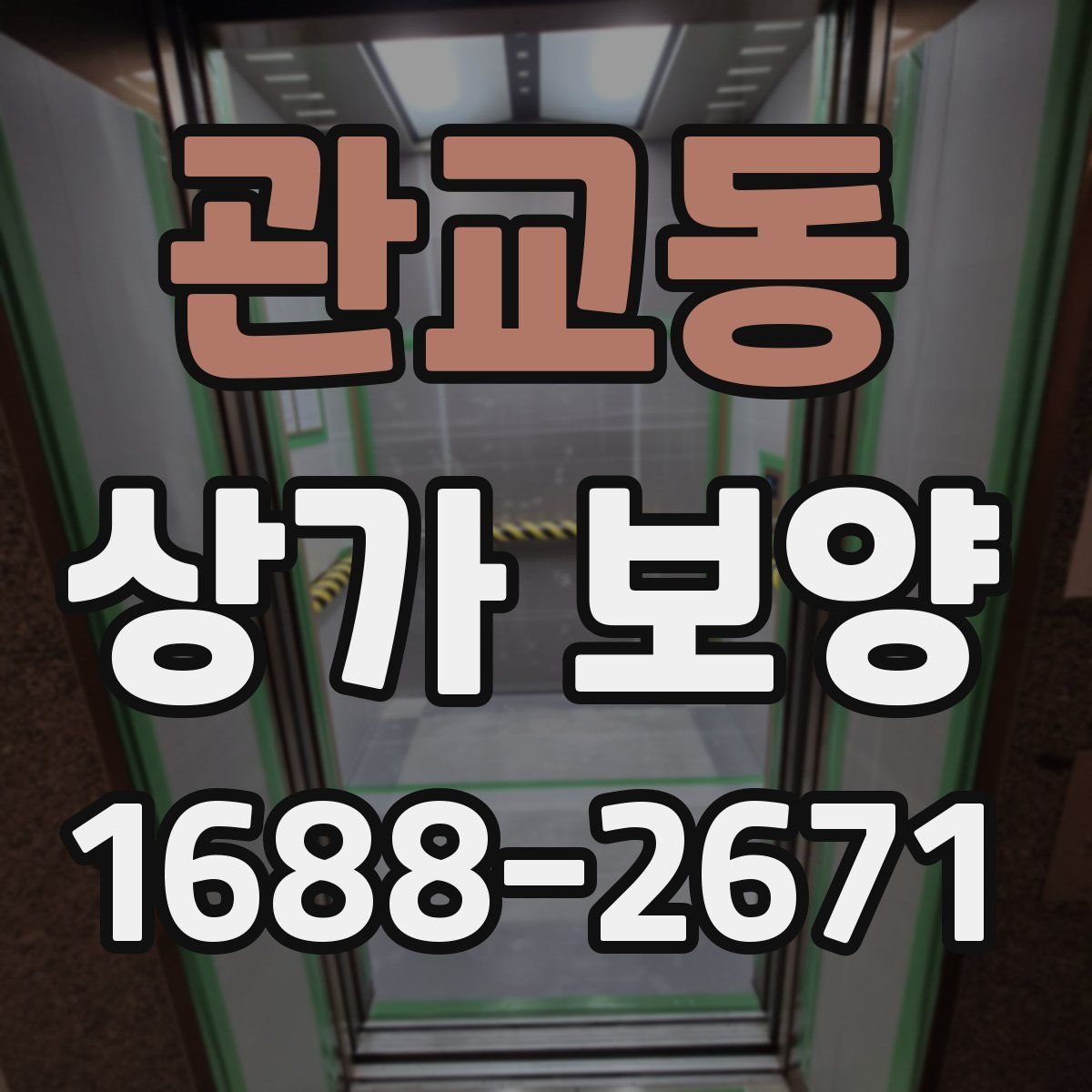 관교동 상가 보양
