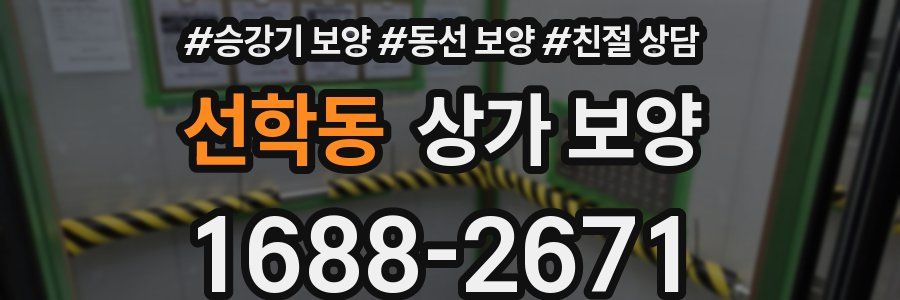 선학동 상가 보양
