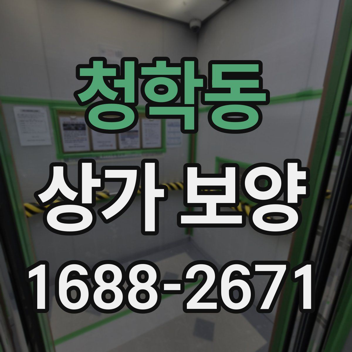 청학동 상가 보양