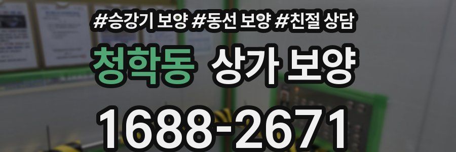 청학동 상가 보양