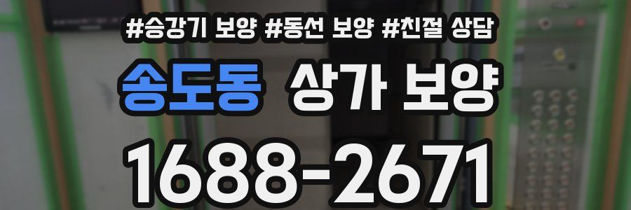 송도동 상가 보양