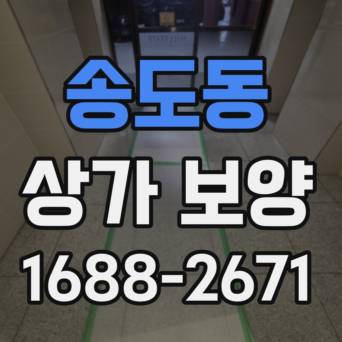 송도동 상가 보양