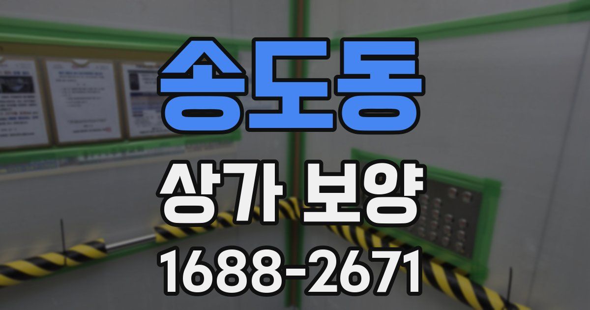 송도동 상가 보양