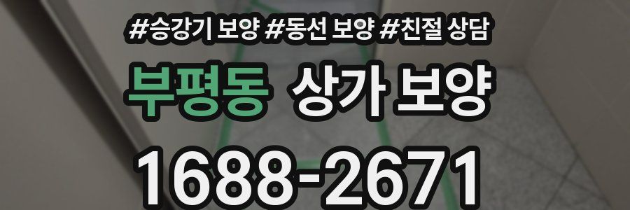 부평동 상가 보양