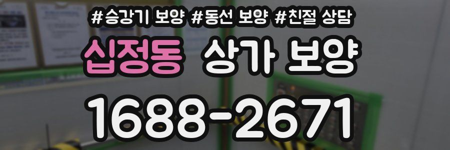 십정동 상가 보양