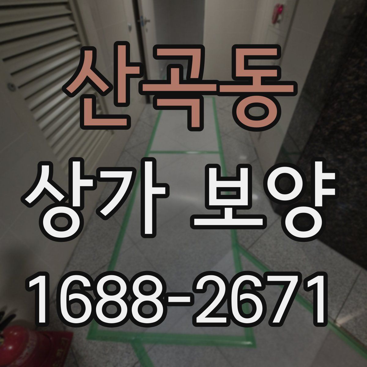 산곡동 상가 보양