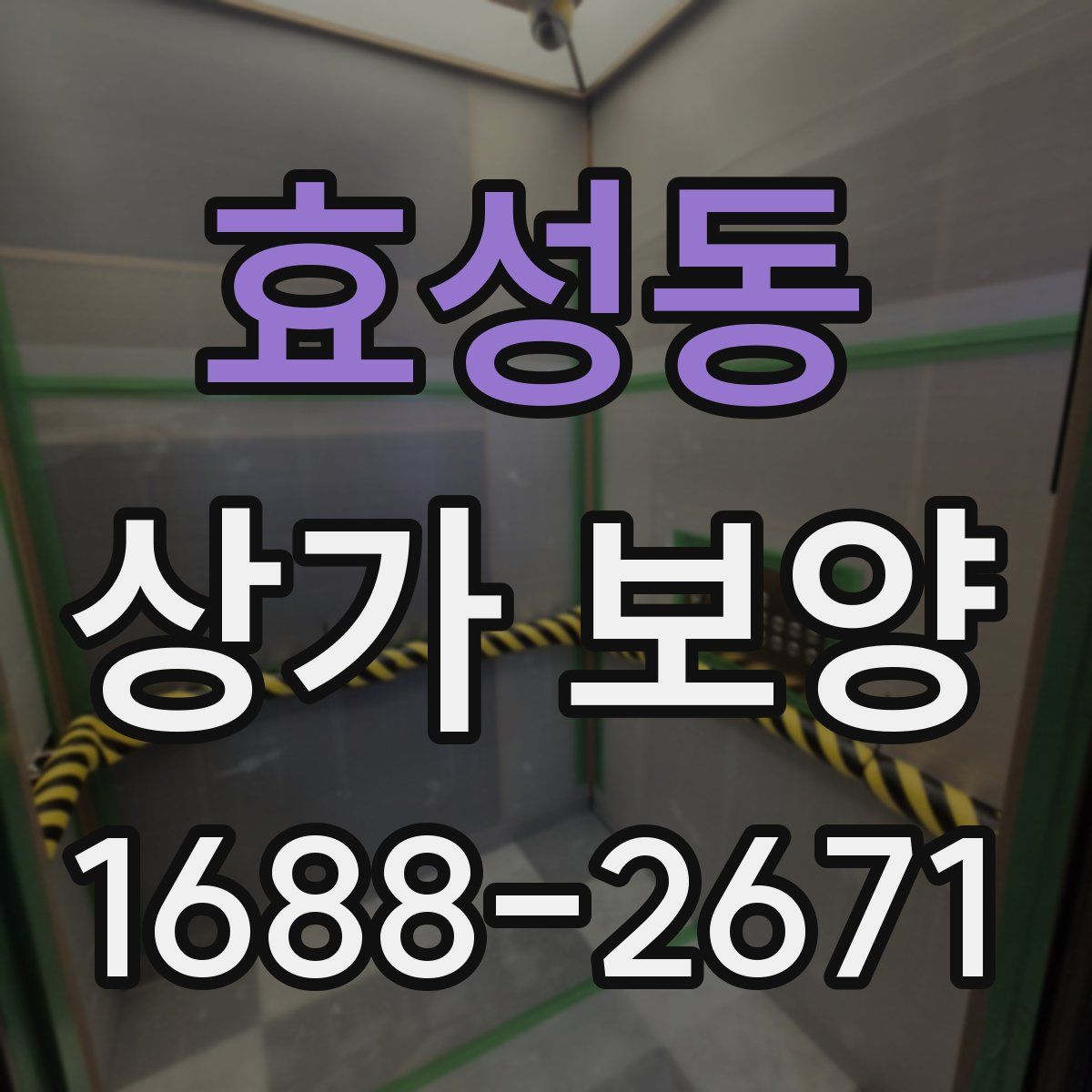 효성동 상가 보양