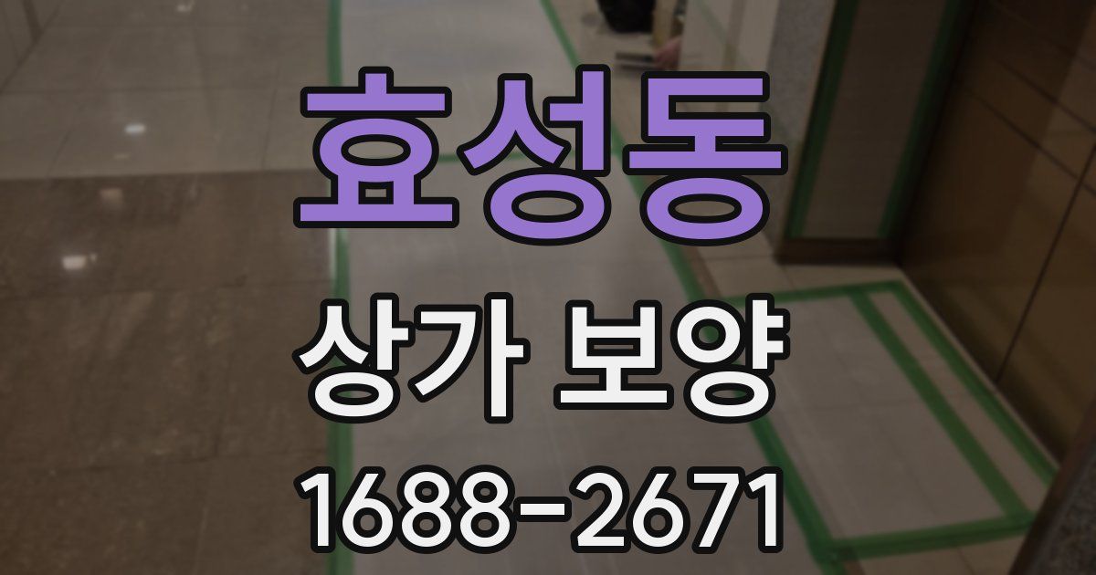 효성동 상가 보양