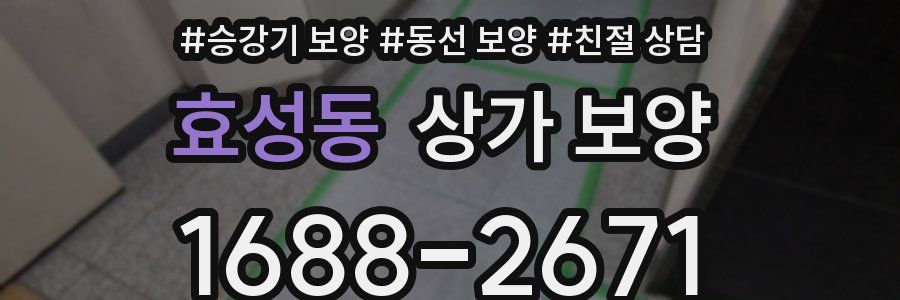 효성동 상가 보양